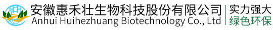 z6.com